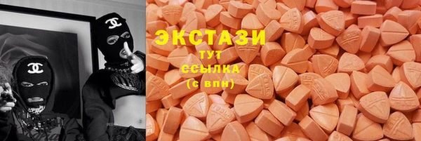 ECSTASY Богородицк