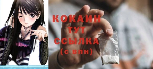 ECSTASY Богородицк