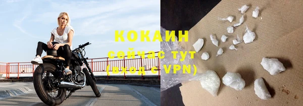 первитин Богданович