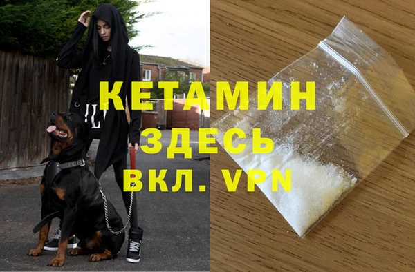 ECSTASY Богородицк