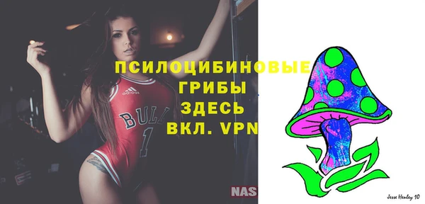 ECSTASY Богородицк
