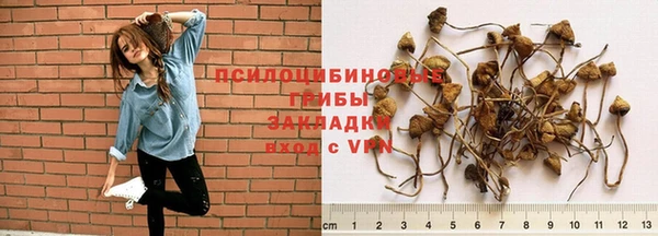 ECSTASY Богородицк