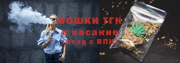 ECSTASY Богородицк
