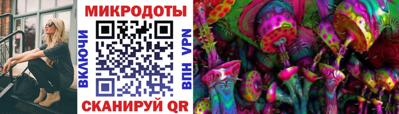 где купить наркоту Демидов Псилоцибиновые грибы Psilocybine cubensis